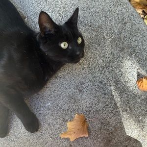 Meet your Posher, Tessa